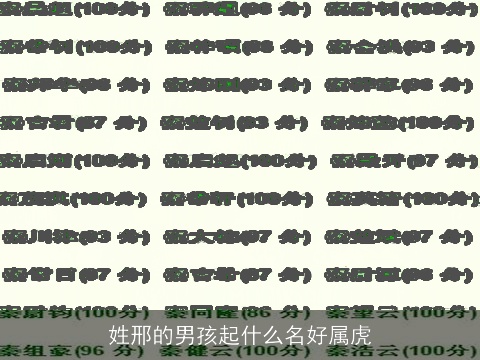 姓邢的男孩起什么名好属虎