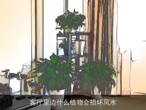 客厅里边什么植物会损坏风水