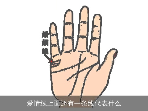 爱情线上面还有一条线代表什么