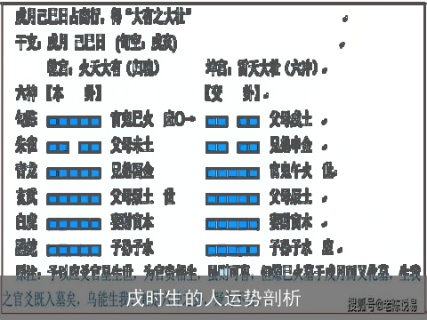 戌时生的人运势剖析