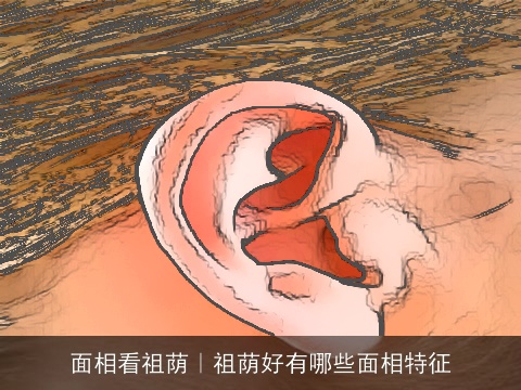 面相看祖荫｜祖荫好有哪些面相特征