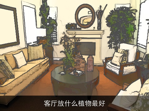 客厅放什么植物最好