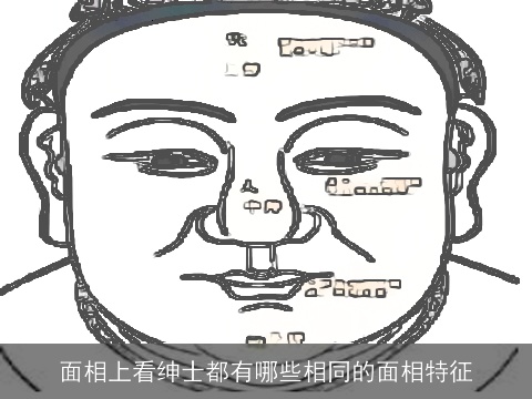 面相上看绅士都有哪些相同的面相特征