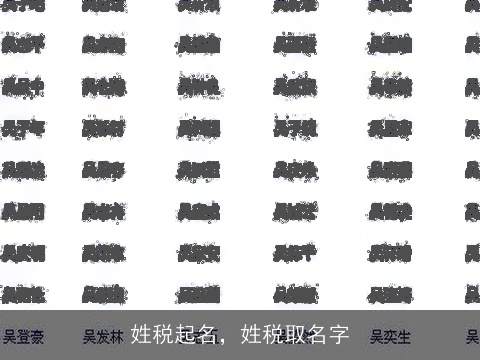 姓税起名，姓税取名字