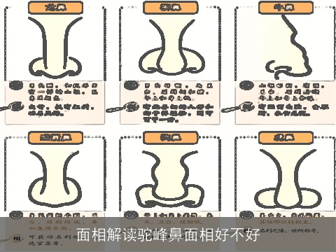 面相解读驼峰鼻面相好不好
