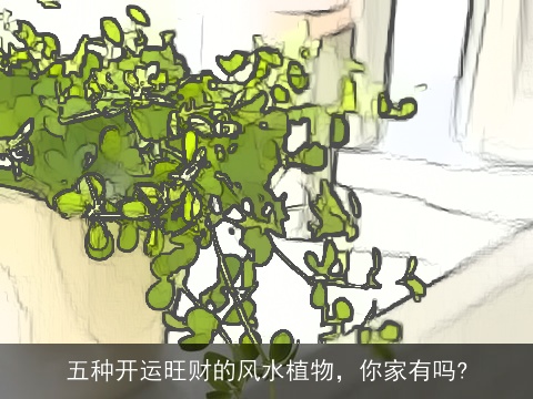 五种开运旺财的风水植物，你家有吗?