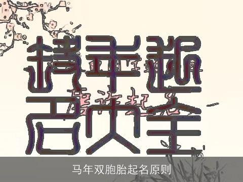 马年双胞胎起名原则