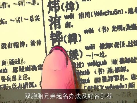 双胞胎兄弟起名办法及好名引荐