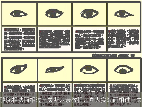 骆驼相法面相过三关断六亲教程、真人实战面相过三关