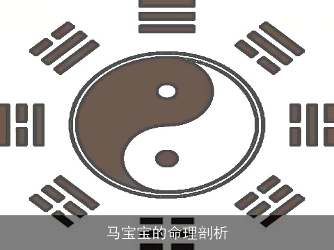 马宝宝的命理剖析