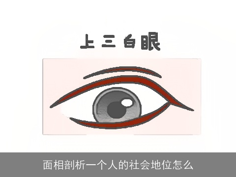 面相剖析一个人的社会地位怎么