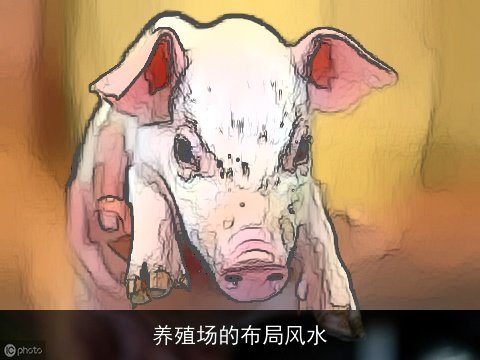 养殖场的布局风水