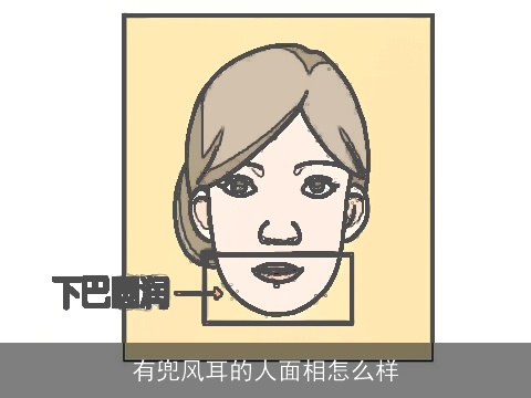 有兜风耳的人面相怎么样