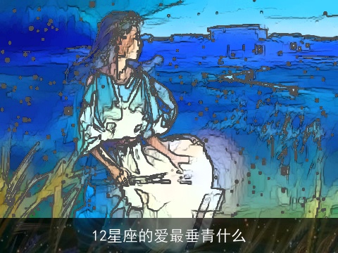 12星座的爱最垂青什么