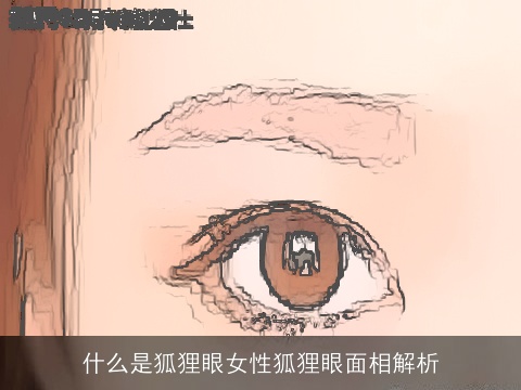 什么是狐狸眼女性狐狸眼面相解析