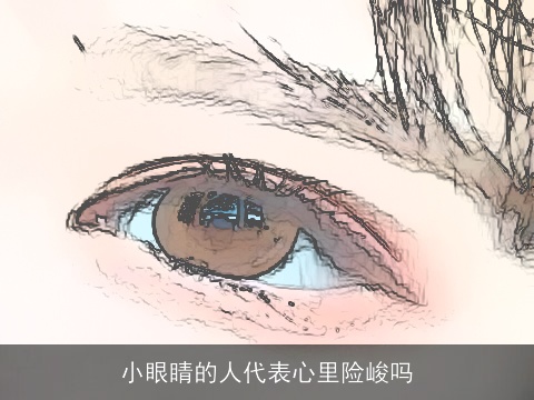 小眼睛的人代表心里险峻吗