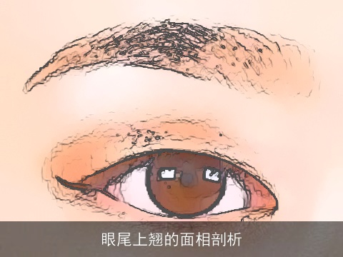 眼尾上翘的面相剖析