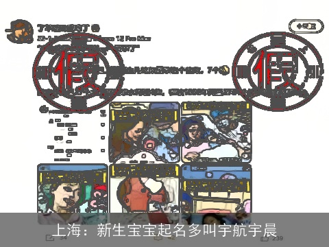上海：新生宝宝起名多叫宇航宇晨