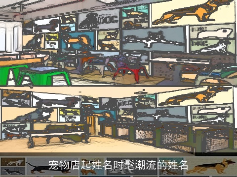 宠物店起姓名时髦潮流的姓名