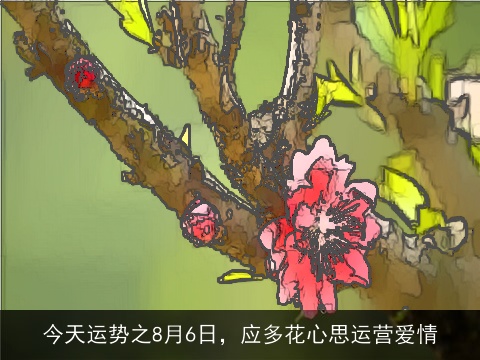 今天运势之8月6日，应多花心思运营爱情