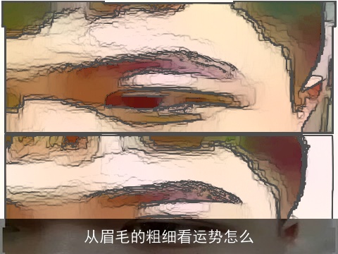 从眉毛的粗细看运势怎么