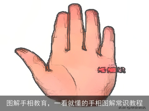 图解手相教育，一看就懂的手相图解常识教程