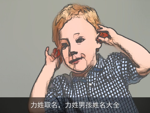 力姓取名，力姓男孩姓名大全