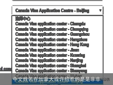 中文姓名在加拿大或许招惹的是是非非