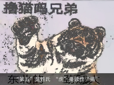 “第五”是姓氏 “虎”要读作“猫”