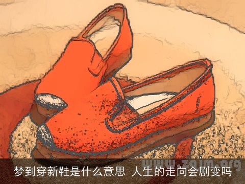 梦到穿新鞋是什么意思 人生的走向会剧变吗