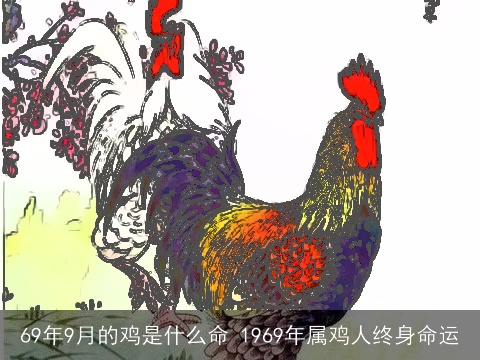 69年9月的鸡是什么命 1969年属鸡人终身命运