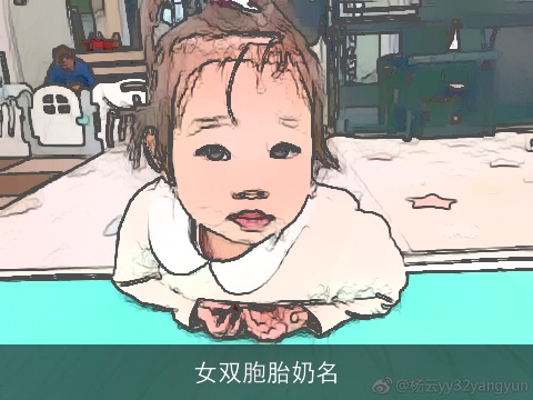 女双胞胎奶名