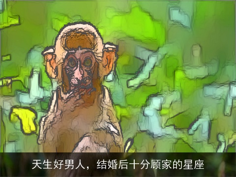 天生好男人，结婚后十分顾家的星座