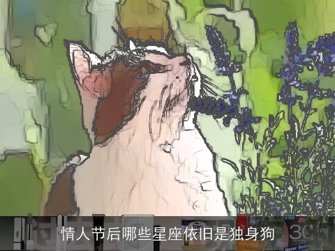 情人节后哪些星座依旧是独身狗