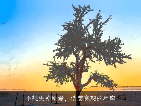 不想失掉所爱，伪装宽恕的星座