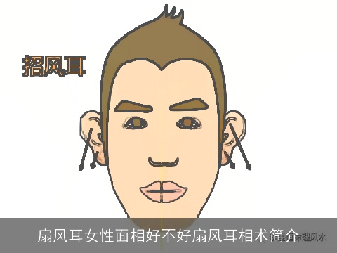 扇风耳女性面相好不好扇风耳相术简介