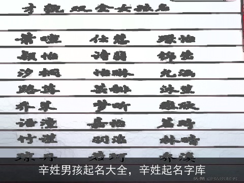 辛姓男孩起名大全，辛姓起名字库