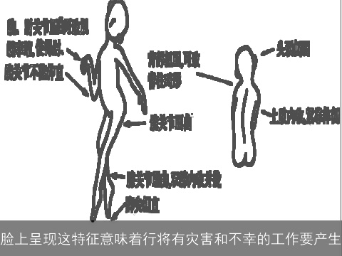 脸上呈现这特征意味着行将有灾害和不幸的工作要产生