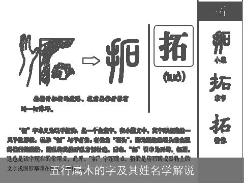 五行属木的字及其姓名学解说