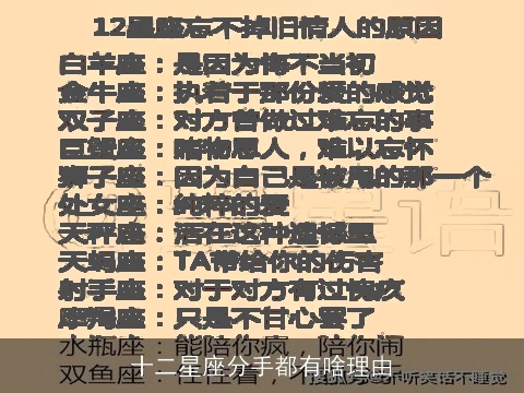 十二星座分手都有啥理由