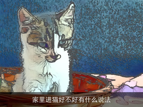 家里进猫好不好有什么说法