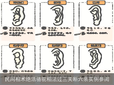 民间相术绝活骆驼相法过三关断六亲实例参阅