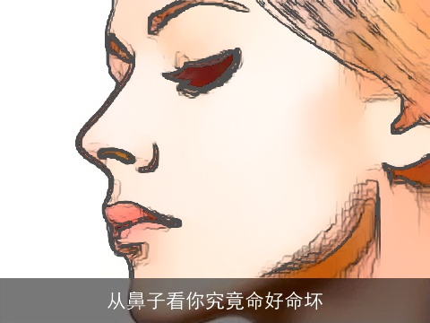 从鼻子看你究竟命好命坏