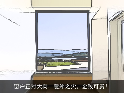 窗户正对大树，意外之灾，金钱可贵！