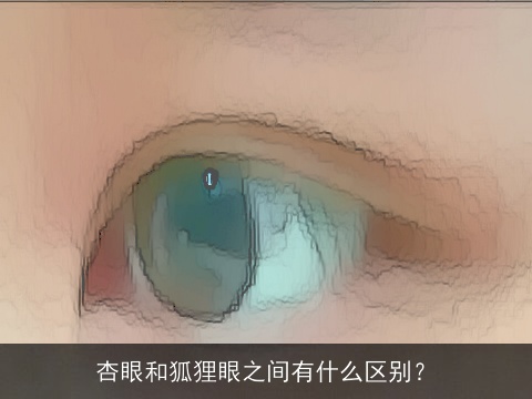 杏眼和狐狸眼之间有什么区别？