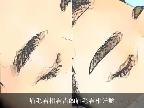 眉毛看相看吉凶眉毛看相详解