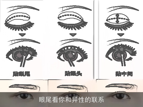 眼尾看你和异性的联系