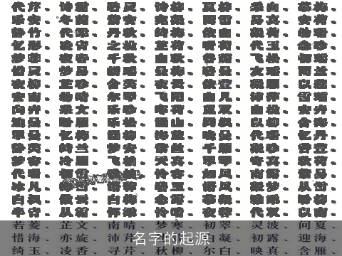 名字的起源