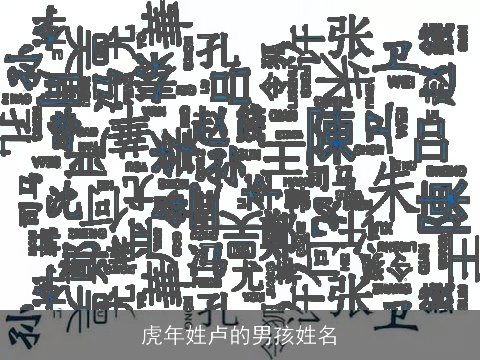 虎年姓卢的男孩姓名