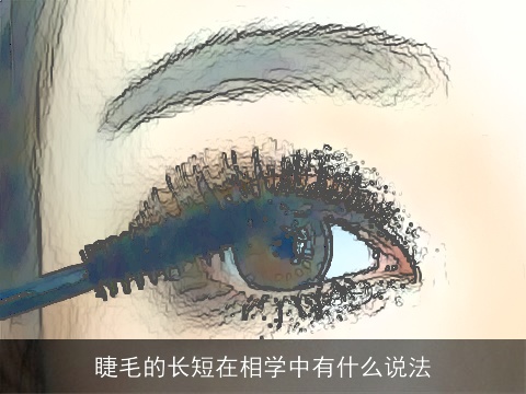睫毛的长短在相学中有什么说法